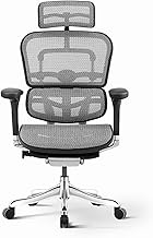 HDZWW Ergonomic Office Chair, Luxury Breathable Mesh Executive Chairs with 4D Armrests, Sedentary Comfort Computer Desk Chair with 5-speed Seat Depth Adjustment for Home Office (Color : Silver)