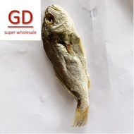 Gelama Jeruk-1kg borong price
