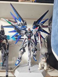 高達 模型 Mg 自由