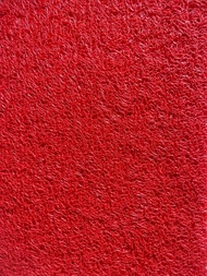 Karpet Sepeda Listrik UwinFly Red Fish 6 RF6