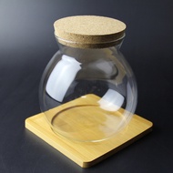 Micro Landscape Ecological Bottle Cork Glass Bottle Moss DIY Glass Bottle with Light Cork Ecological