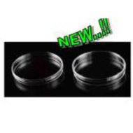 Petri DISH Plastic 120mm OD120x15mm 10pcs/bag Cup Petri FC COMBO