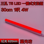 [Zhuguangfang] Made In Taiwan Three-Hole RED Light T5 LED Integrated Bracket 1 Feet Laminate 37cm 33