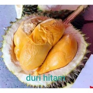 Anak pokok Durian Duri hitam