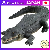 Ania AS-08 Nile Crocodile 【Direct from Japan】