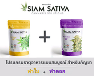 ปุ๋ยsiam sativa สูตร2 กับ สูตร3 (ทำใบ + ทำดอก)