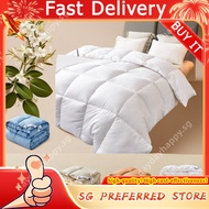 Quilt Soft Duvet Comforter Blanket Single/Super Single/Queen/King size Bedding Hotel