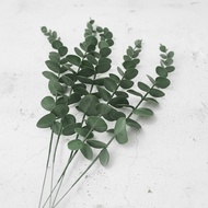 E0143 | Aesthetic Artificial Eucalyptus Leaves | Photo Props | Artificial Leaf Eucalyptus
