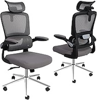 IULULU Ergonomic Office Computer Desk Chair Home Swivel Mesh Task with Adjustable Headrest and Flip-Up Arms, Tilt Function, Lumbar Support, Metal Legs, Grey