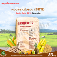 โบรอนผง 17% กรดบอริก 99% OBTIBOR ASIT USA บรรจุ 25 กิโลกรัม.