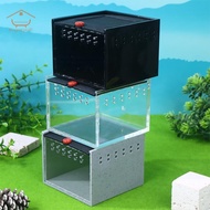 FIN Pet Spider Box Reptile Crawling Pet Feeding Lizard Silkworm Baby Scorpion Beetle Insect Pet Hous