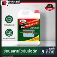 แบคโตเซล 3001 Micro-Biotec ชนิดแกลลอน ขนาด 5 ลิตร bactocel จุลินทรีย์ ส้วม bactocel 3001 แบคโตเซล 30