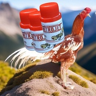 Doping Nitrojet Ayam Aduan Tahan Pukul