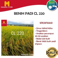 New Benih Padi CL220 Bibit Padi Unggul