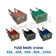 FUSE Car MAIN Straight Legs 30A 40A 50A 80A 100A-Genuine Parts Second Hand Japan There Is Fuse Fuse 