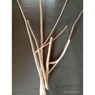 Teak Twigs Branches-Home Decoration-Bird Drought~150 cm