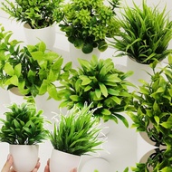 Simulated Green Pottery Plants Office Home Desktop Artificial Bonsai Flowerpot for Garden Wedding Pa