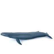 PAPO Blue Whale (Marine Figurines) 3y+ PA56037