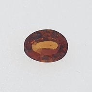 Hessonite Garnet (Oval) | Gomed | 石榴石 | January Birthstone | Natural Gemstones | Batu Permata Asli