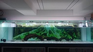 aquarium 350x100x85