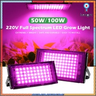 220V Full Spectrum LED Grow Light 50W ไฟปลุกต้นไม้ ไฟช่วยต้นไม้ตัวเร็ว มีสวิตช์ปิดเปิด สายไฟยาว1.5โมตร flashsale ลดกระหน่ำ