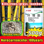 20000% rotten roots tree killer racun pokok paling kuat The roots rotted in 1 day No damage to soil 