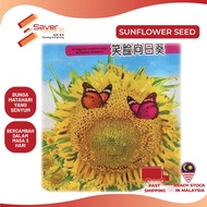 Saverstore 10 / 20 / 30Pcs🌻 Sunflower Seed Flower Seed Plant Seed Biji Benih Bunga Matahari Benih Pokok Bunga 向日葵种子