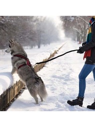 1入組寵物牽繩，長約115cm，適用於中大型犬，採用編織和訓練設計，尼龍繩，可防止狗走失