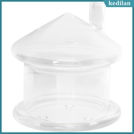 kedilan Immortal Flower Doll Cake Display Stand Clear Dome Cloche Glass Acrylic Craft - Eternal