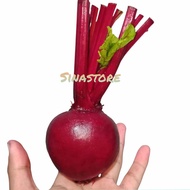Buah Bit Fresh Kualitas Super Termurah 1kg