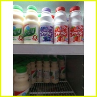 ┗ Dutch Mill Delight PROYO 400mL [Strawberry or Blueberry] Flavored Bottle Drink