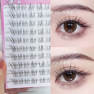 Cool and Distressed Feel~Fox Series I Feel Sympathy Segmented False Eyelashes Natural Lengthening Ey
