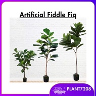 [READY STOCK] FIDDLE FIG PLANT / PREMIUM POKOK HIASAN / ARTIFICIAL PLANT / ARTIFICIAL TREE / DRACAEN
