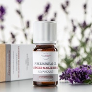 母親節限定~2入5折【菠丹妮 BOTANICUS 台灣總代理公司貨】薰衣草精油10ml(品號03157)
