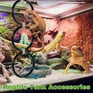 Reptile Climbing Ring, Ball Python Climbing Chain Toy, Glass Container Cage Decor Accessories Suitab