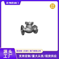 Stainless Steel Rotary Check Valve H44W-16P One-Way Hard Seal Check Valve