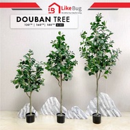 ⚡️LIKE BUG⚡️DOUBAN PREMIUM Plant Hiasan Viral Pokok home decor/ Pokok Hiasan Viral / pokok hiasan