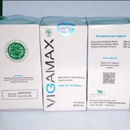 TERJAMIN!!! Vigamax Asli Original Suplemen Stamina Pria Dewasa