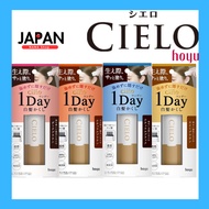 Cielo 1Day Gray Concealer, Natural Brown, Before Going Out, One-Day Gray Dye for You