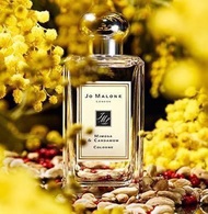 💢現貨💢 Jo Malone Mimosa & Carmon含羞草與小荳蔻 香水 100ml