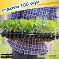 ถาดเพาะกล้า 105 หลุม ถาดเพาะเมล็ด ถาดเพาะชำ ถาดเพาะต้นกล้า ถาดเพาะต้นอ่อน