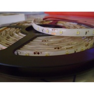 Flexible LED Strip SMD-3528 SMD-2835 WATERPROOF IP65 300LED 5M/ 1ROLL 12Volt DC Good Quality