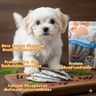 Follow- 5 Get 1 Free Pet Treats 1 Real Egg Fish Unseasoned No Color Adjustment Natural Scent Tight P