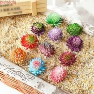 PLANED 2pcs Fake Succulent Flocking Plants, Handmade Mini Artificial Succulent Plants, Fake Succulen