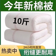 Four Seasons Winter Quilt Thickened Pad Quilt Quilt Cover Quilt Mattress Quilt Warm Quilt Core Sprin