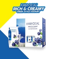 1Carton【Ambrosial Greek High Quality Yogurt】安慕希酸奶AMX#Anmuxi