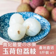 ［產期很短很短10-14天］嚴選玉荷包荔枝 5斤/盒（免運） - 美夢成真GCI