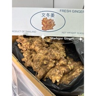 lelong Segar halia Bentong Tua FreshOld Bentong Ginger Vegetable Seed OrganicConfinement Benih Sayur