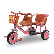 Bicycle 2 Seater