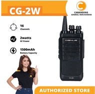Cignus CG-2W UHF (Value Radio)
